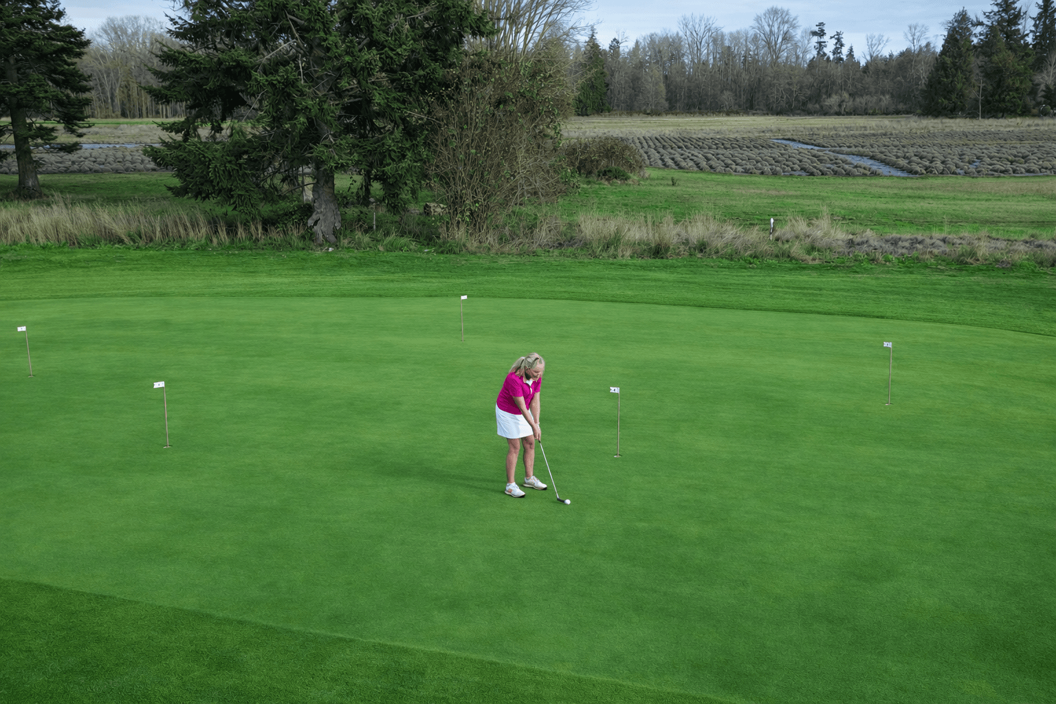 Rolling green complex