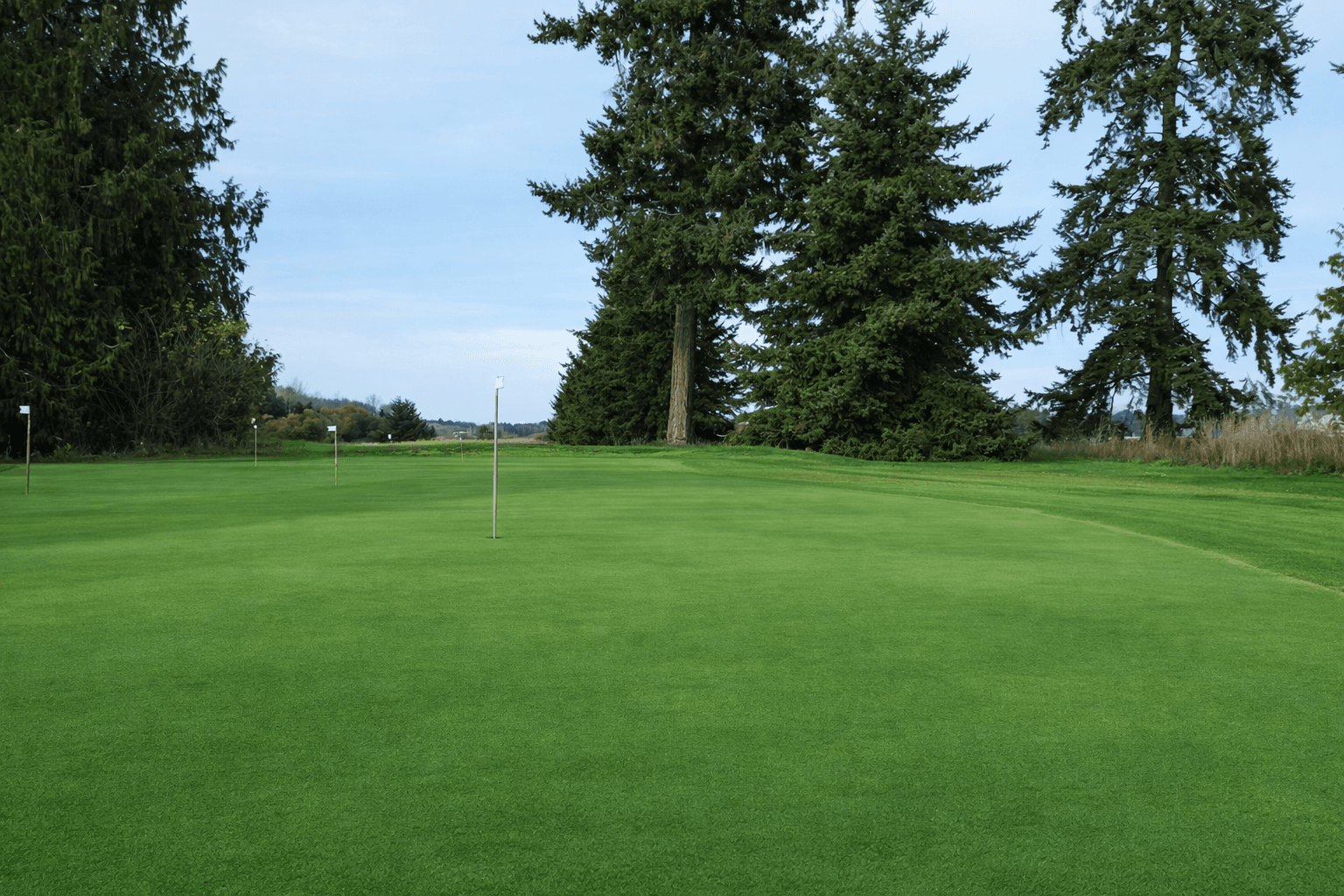 Skyridge fairway and bunkers