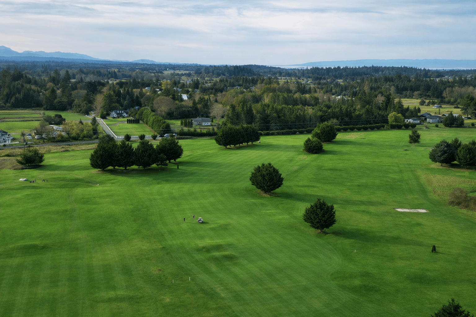 Course details preview